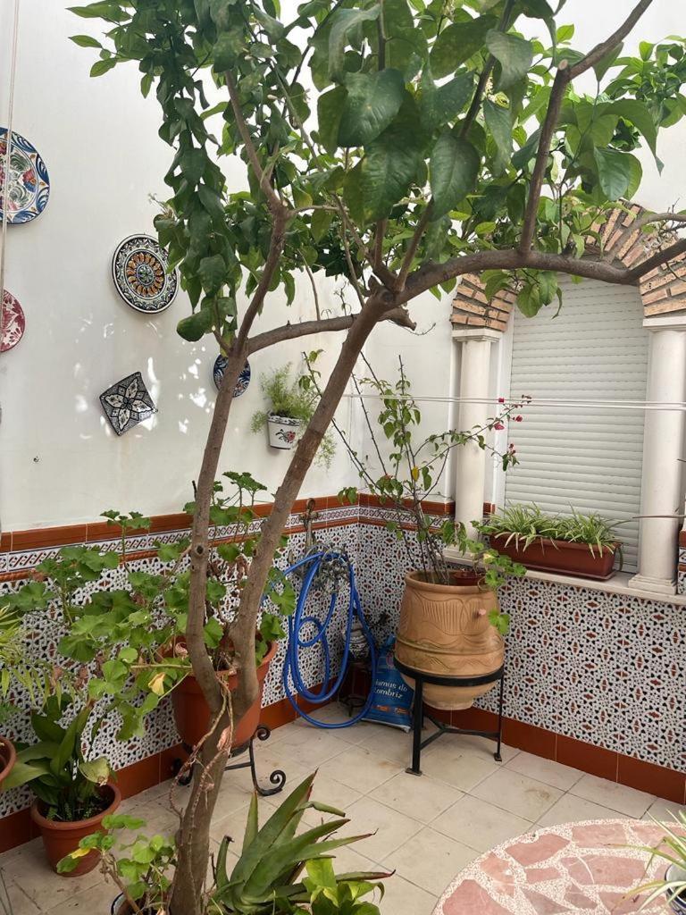 Alyana Hostel Córdoba Buitenkant foto